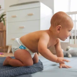 Charlie Banana One Size Reusable Cloth Diaper 16 Charlie Banana One Size Reusable Cloth Diaper -Children's Toys GUEST 00122f18 e13b 488d 96b6 1956d6aec51c