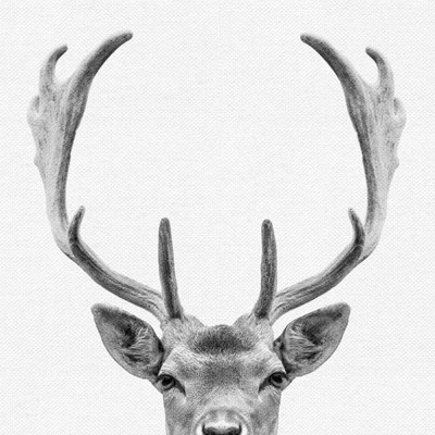 Set Of 8- 11x11 Gallery Square Framed Prints W/ Mats Decorative Wall Art Set - Black And White Jungle Nursery - Americanflat With Mat 7 Set Of 8- 11x11 Gallery Square Framed Prints W/ Mats Decorative Wall Art Set - Black And White Jungle Nursery - Americanflat With Mat - Image 7