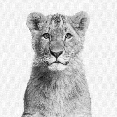 Set Of 8- 11x11 Gallery Square Framed Prints W/ Mats Decorative Wall Art Set - Black And White Jungle Nursery - Americanflat With Mat 4 Set Of 8- 11x11 Gallery Square Framed Prints W/ Mats Decorative Wall Art Set - Black And White Jungle Nursery - Americanflat With Mat - Image 4