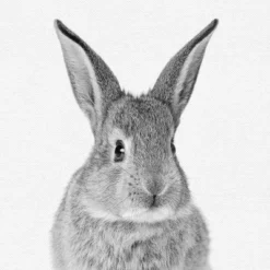 Set Of 8- 11x11 Gallery Square Framed Prints W/ Mats Decorative Wall Art Set - Black And White Jungle Nursery - Americanflat With Mat 10 Set Of 8- 11x11 Gallery Square Framed Prints W/ Mats Decorative Wall Art Set - Black And White Jungle Nursery - Americanflat With Mat -Children's Toys GUEST c5e5fdca 41be 4d85 94b8 063b2531adc8